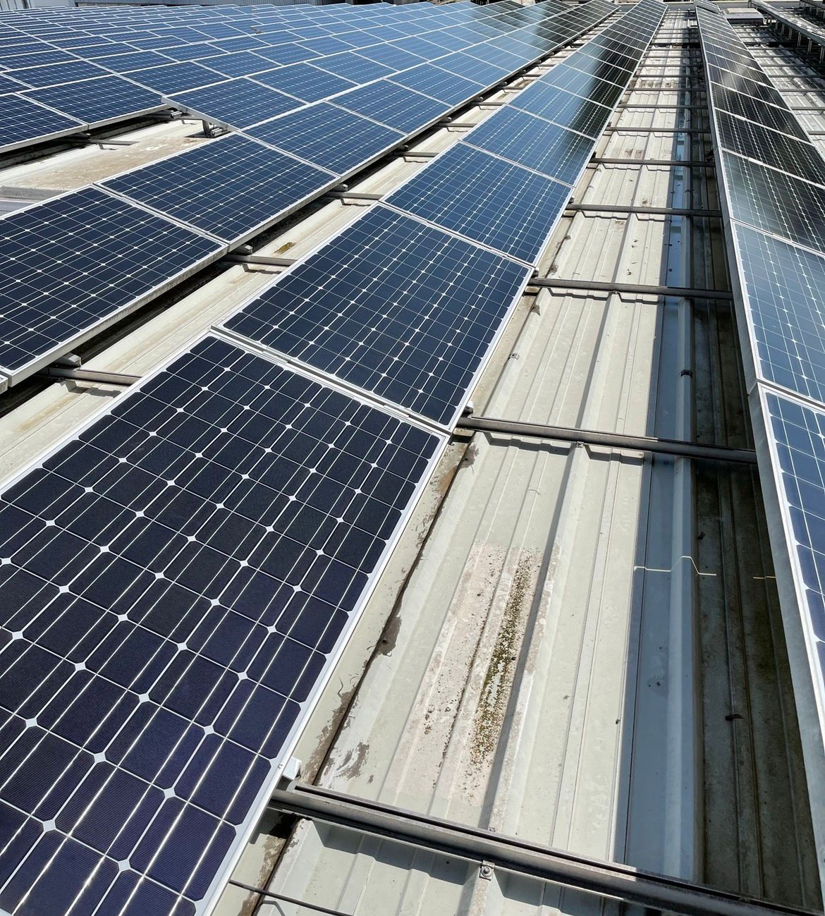 Photovoltaikreinigung