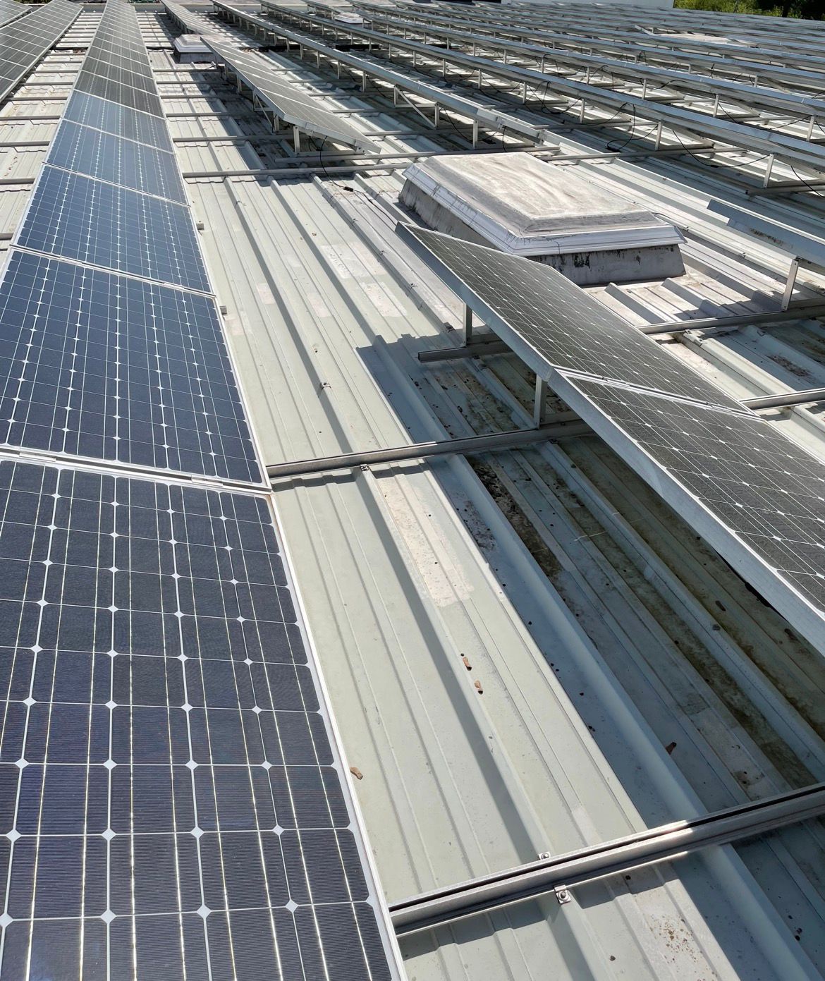 Photovoltaikreinigung